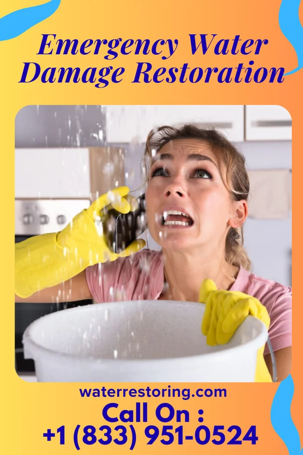 Emergency Water Damage Restoration in Ehrhardt, SC