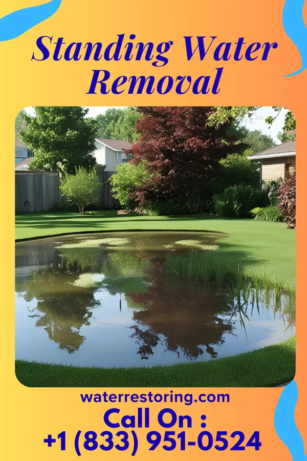 Standing Water Removal in Ehrhardt, SC